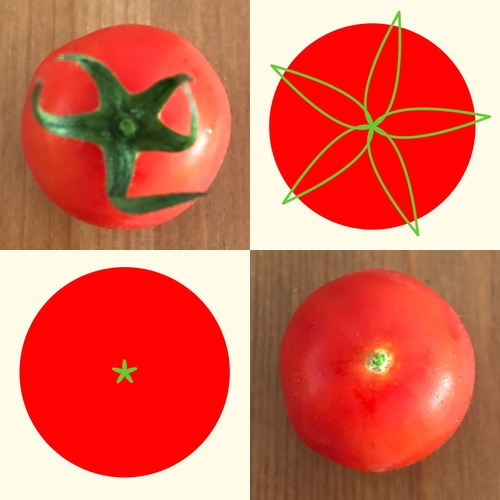 Blog post teaser for Draw tomatoes with Svelte and SVG