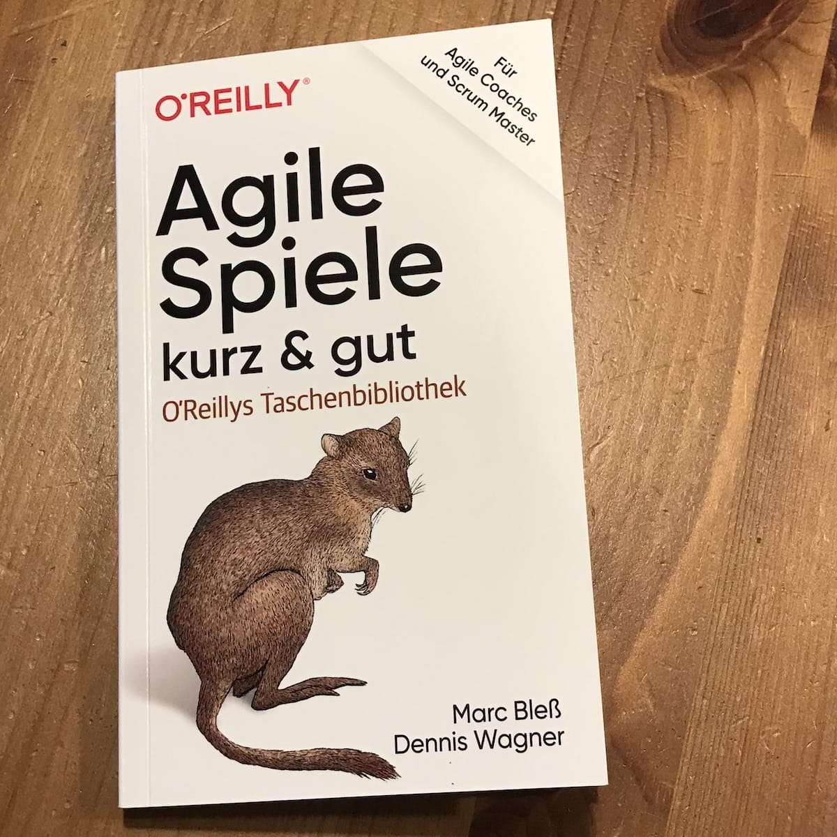 Cover from the small book of Marc about agile games